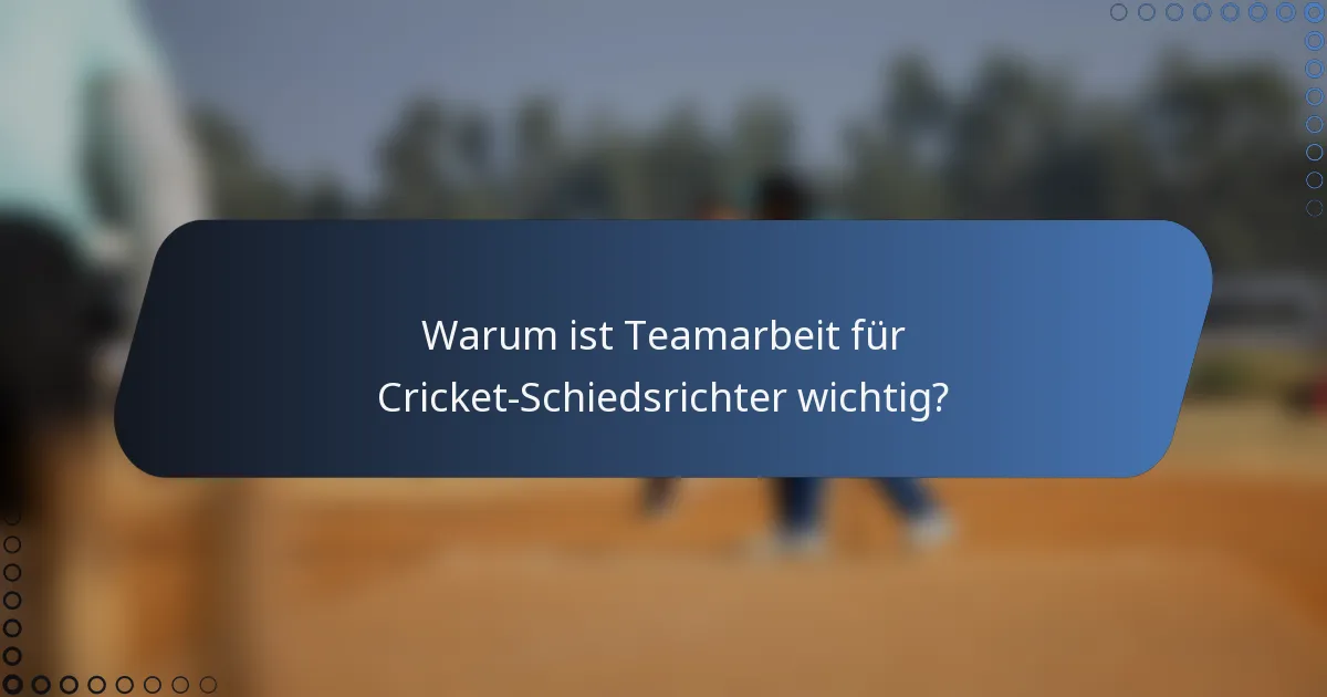 Warum ist Teamarbeit für Cricket-Schiedsrichter wichtig?
