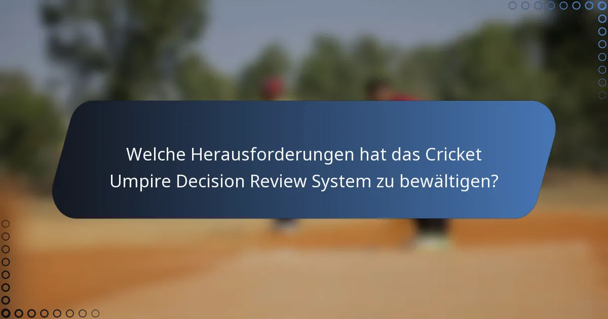 Welche Herausforderungen hat das Cricket Umpire Decision Review System zu bewältigen?