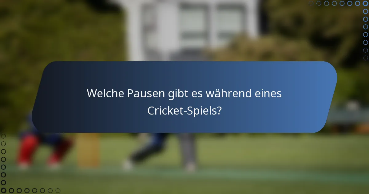 Welche Pausen gibt es während eines Cricket-Spiels?
