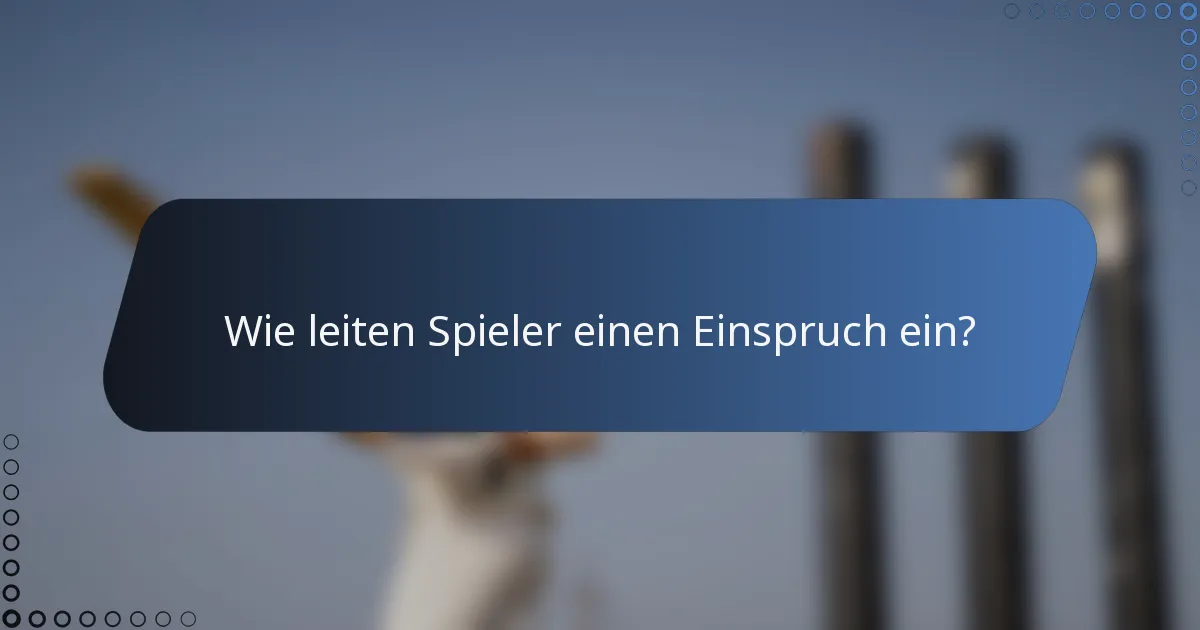 Wie leiten Spieler einen Einspruch ein?